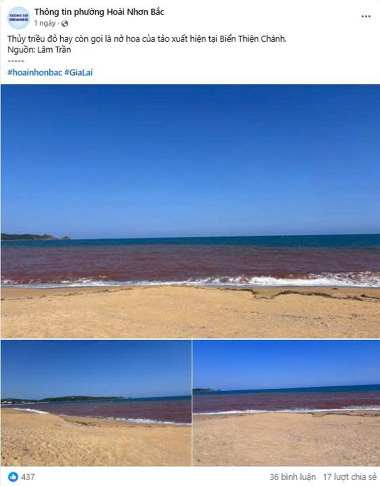 Thông tin về hiện tượng thủy triều đỏ tại bãi biển Thiện Chánh lan truyền trên mạng. Ảnh chụp màn hình