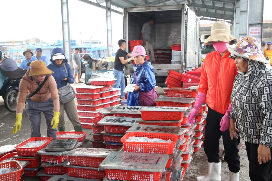Nhiều tàu cập bờ, mang theo cá, mực nên thương lái tập trung đông ở cảng cá. Ảnh: Hưng Thơ
