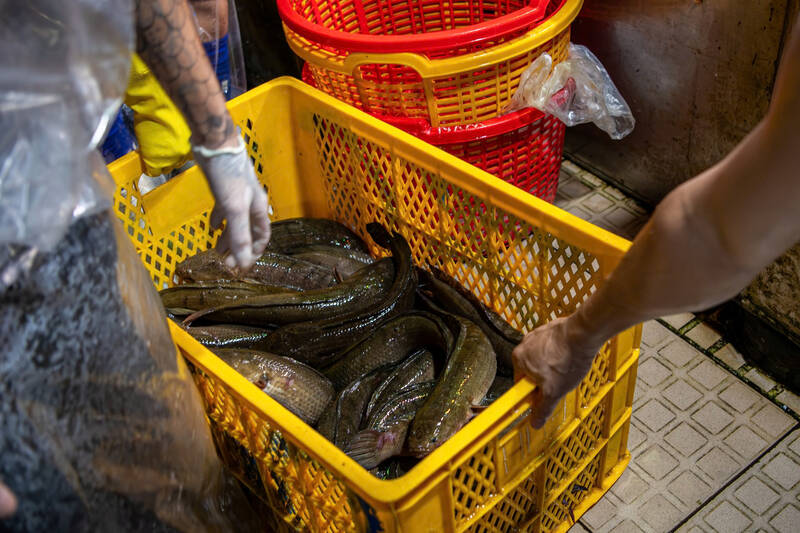 Thương lái liên tục nhập hàng, chuẩn bị nguồn cung cho thị trường TP.HCM.