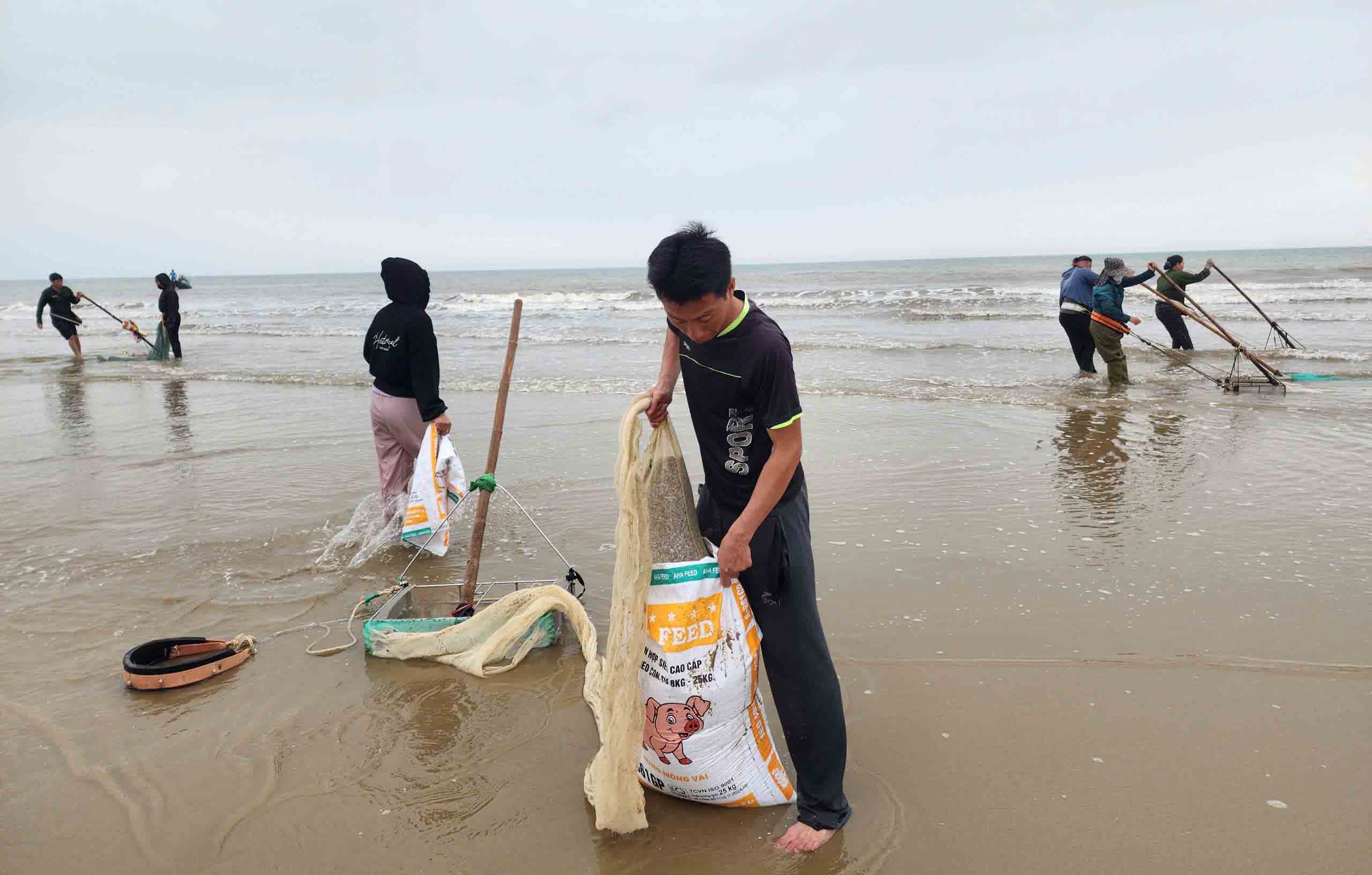 People in the coastal area of Ha Tinh flock out to catch snails and shrimp drifting ashore. Photo: Tran Tuan