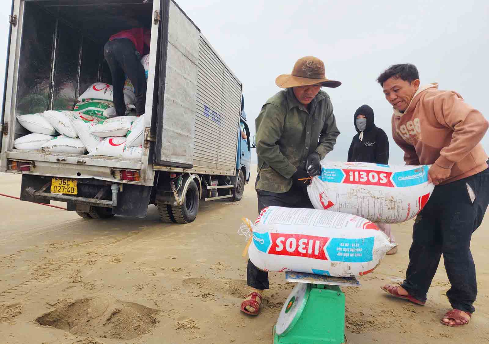 Thương lái đến mua ốc tép ngay tại bãi biển. Ảnh: Trần Tuấn