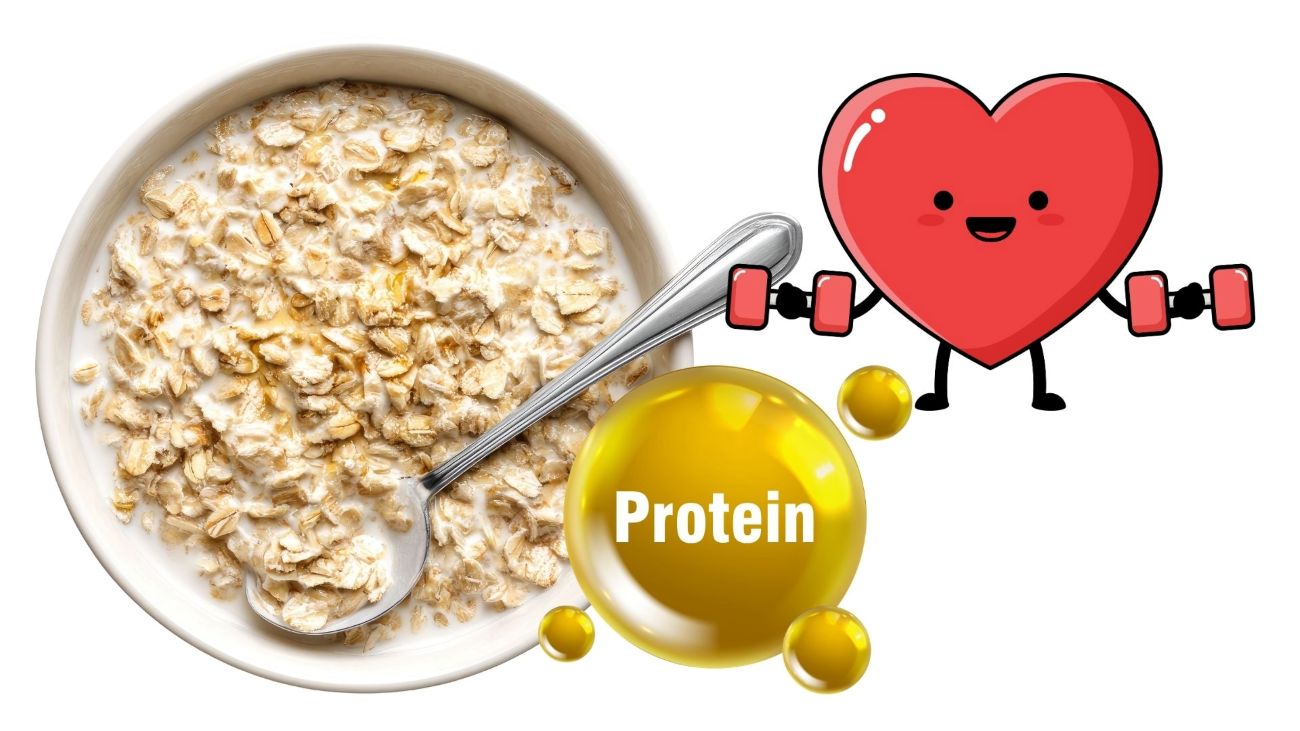 Protein-rich breakfast is good for health. Graphics: Thanh Thanh