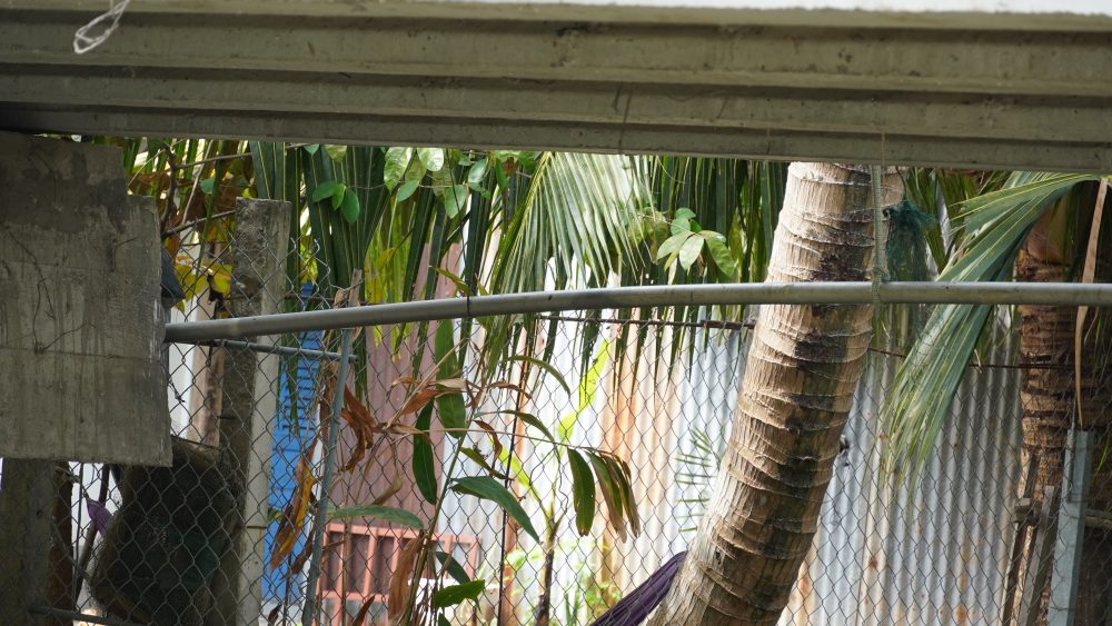 Tuyến ống cấp nước đường kính nhỏ, kéo dài qua nhiều khu vực cầu trước khi đến nhà dân. Ảnh: Hậu Giang