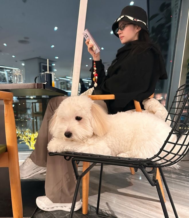 Lưu Diệc Phi đi dạo phố và uống cà phê cùng thú cưng. Ảnh IGNV