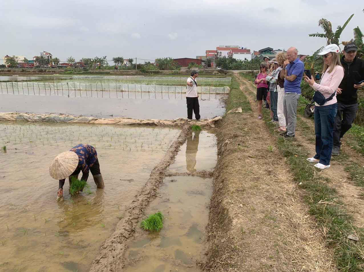 Du khách tham quan đồng ruộng, tìm hiểu tập quán canh tác của người dân địa phương.