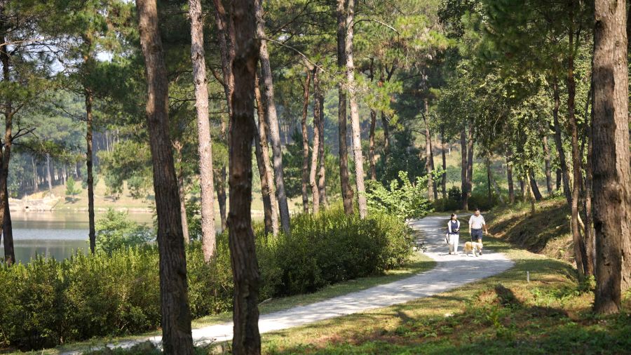 For the Thanh Xuan people, they are looking for a place to live, not just an "asset" to own. Photo taken in Thanh Xuan Valley.