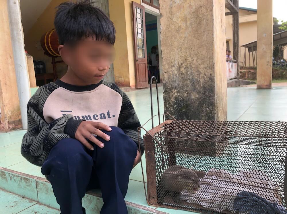 The carp was discovered by a male student. Photo: H.Nguyen