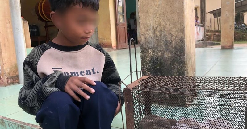 Phát hiện rắn đuôi chuông quý hiếm trong tình trạng yếu ớt