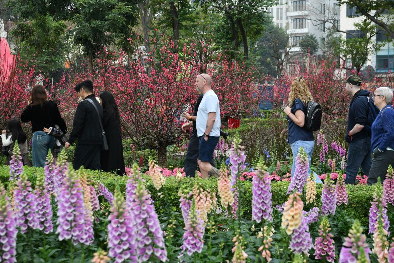 Du khách nước ngoài đến Hà Nội khá đông trong những ngày đầu Xuân Bính Ngọ. Ảnh: Việt Văn