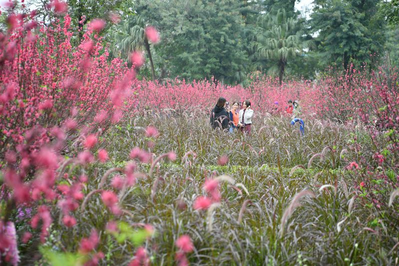 Sắc Xuân. Ảnh: Việt Văn