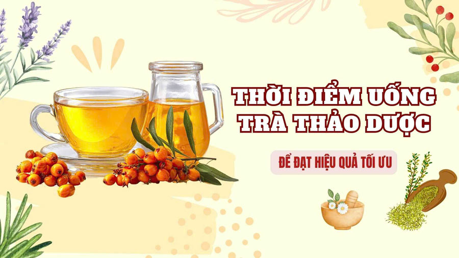 Time to drink herbal tea for optimal effectiveness