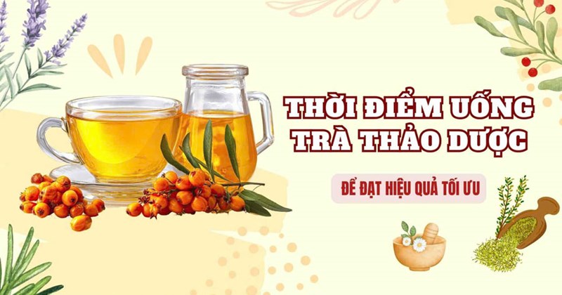 Uống trà thảo mộc: Thời điểm vàng để đạt hiệu quả tối ưu