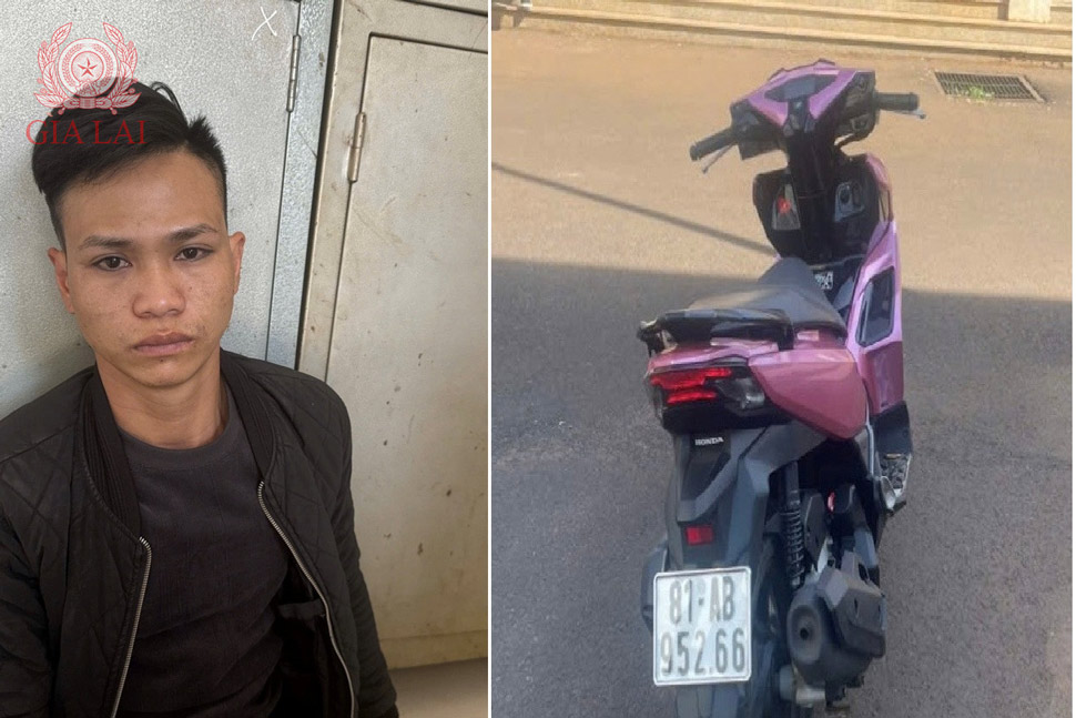 Công an tỉnh Gia Lai cho biết đã tạm giữ hình sự Ngô Văn Đạt. Ảnh: Công an