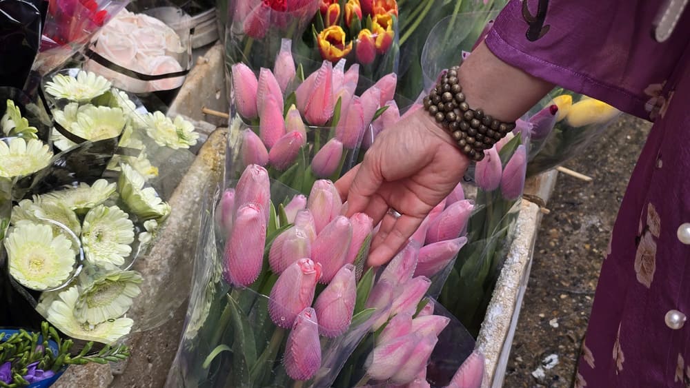 Choisir de belles tulipes à offrir à maman à l'occasion de la Journée internationale de la femme 8. 3. Photo: Tuan Dat