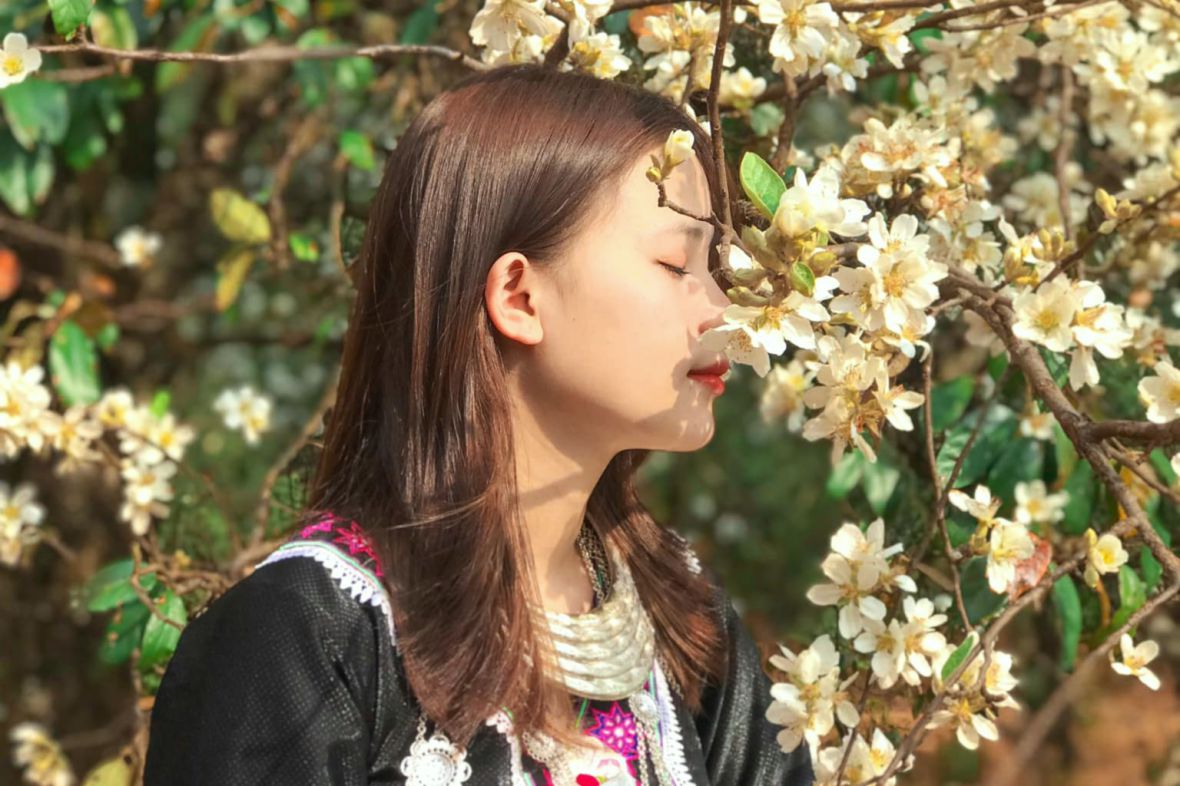 Du khách check-in mùa hoa sơn tra Nậm Nghẹp. Ảnh: Vinh Đỗ