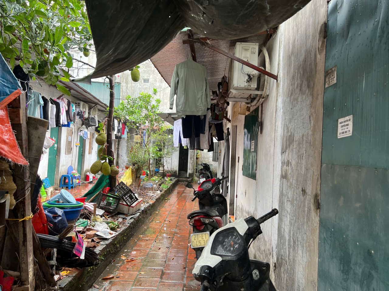 Xóm trọ công nhân ẩm ướt, cũ kỹ. Ảnh: Minh Hương.