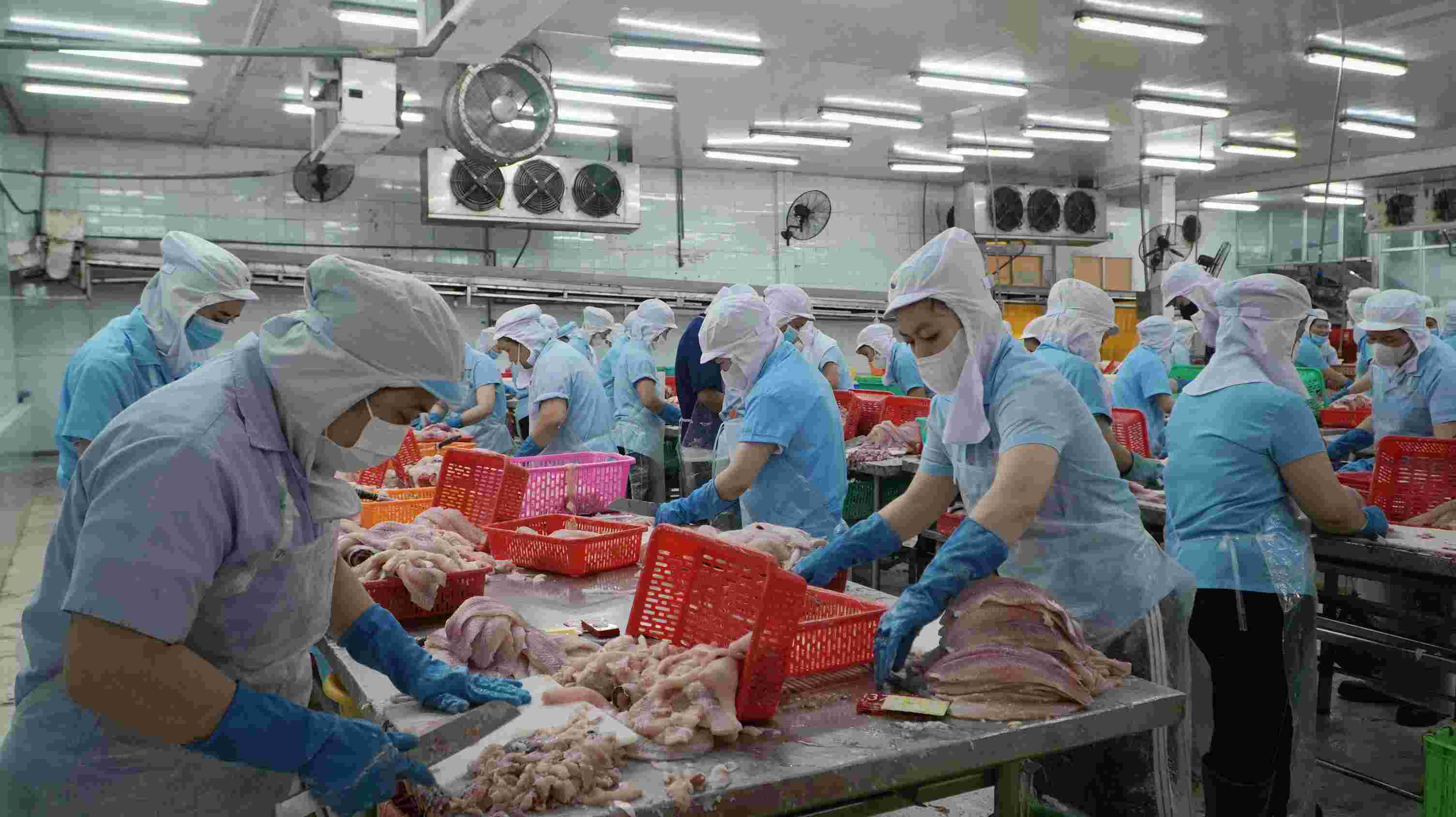 According to the growth scenario of An Giang province, exploitation and aquaculture reached about more than 22,600 billion VND, accounting for more than 41%. Photo: Nguyen Anh