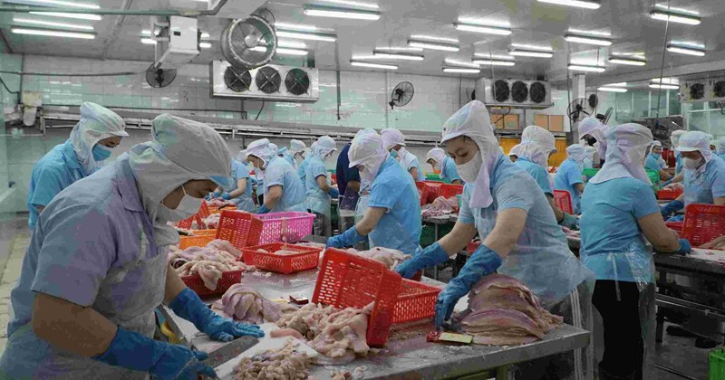 An Giang phấn đấu sản xuất nông, lâm, ngư nghiệp đạt hơn 54.300 tỷ đồng