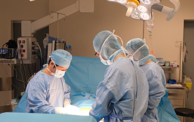 Doctors used two segments of the small intestine to regenerate the digestive tract, cutting off the entire duodenum for the patient. Photo: BVCC
