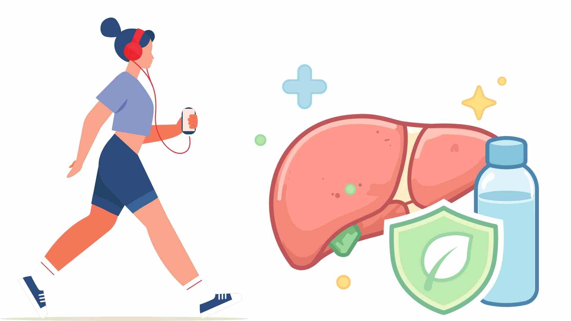 Scattered exercise throughout the day helps support liver function effectively. Graphics: Ha May