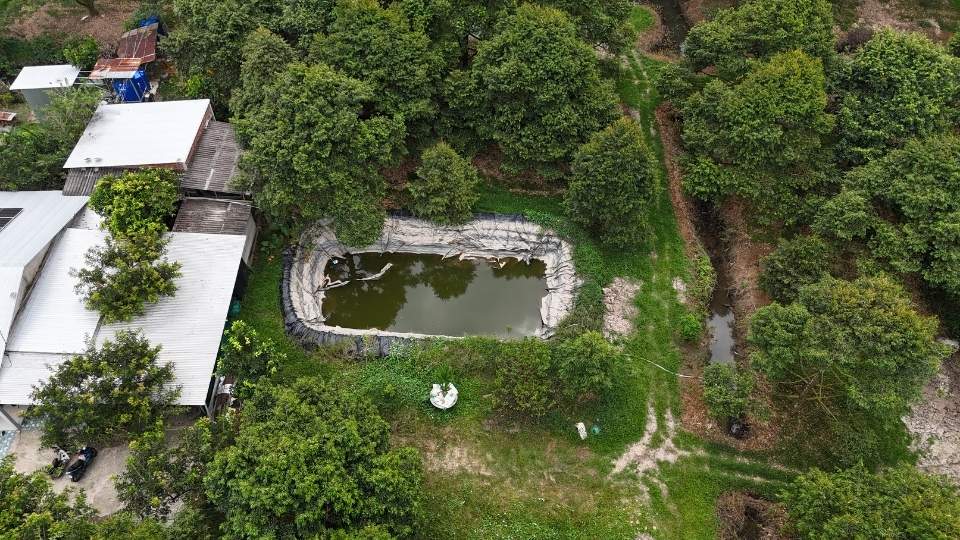 Tích trữ nước ngọt là giải pháp quan trọng giúp người dân chủ động ứng phó hạn mặn, đặc biệt khi ranh mặn 4‰ lấn sâu vào nội đồng. Ảnh: Hoàng Lộc