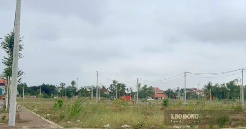 14 lô đất tại Phục Thọ đấu giá, giá khởi điểm từ 7,4 triệu đồng/m2