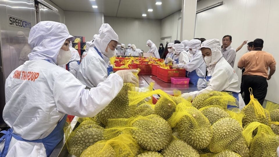 Vinh Long Trade Union strengthens closeness to grassroots levels, promptly stabilizing labor relations after the Tet holiday. Photo: Hoang Loc