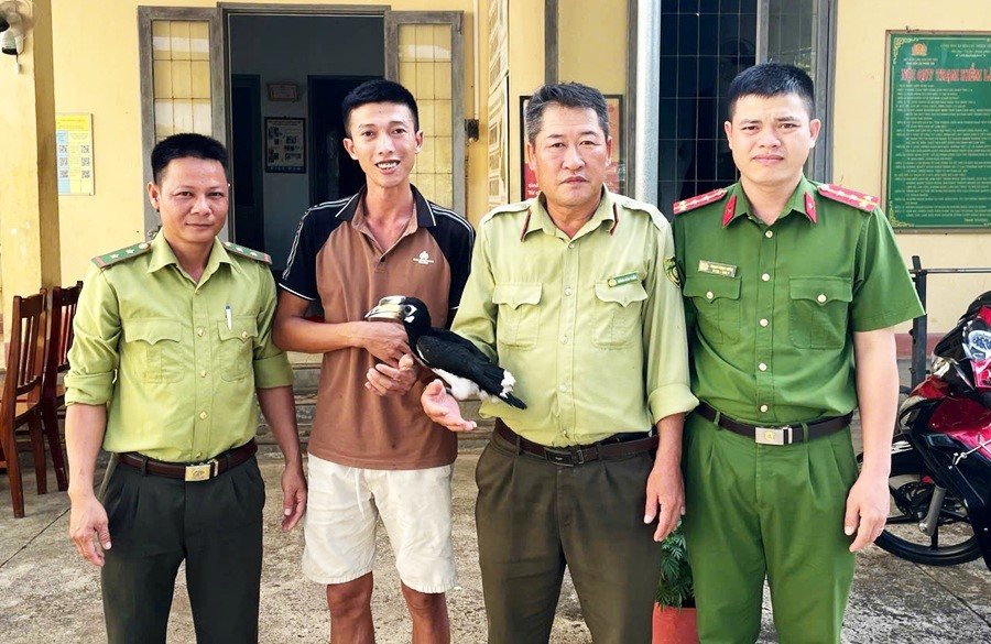 Functional agencies receive a white-bellied sand duck individual handed over by people. Photo: Police provided
