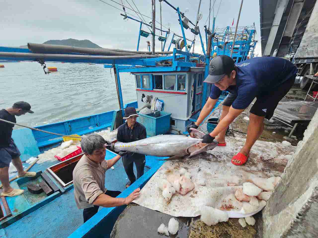 nhiều tàu đã xuất bến từ trước Tết Nguyên đán.