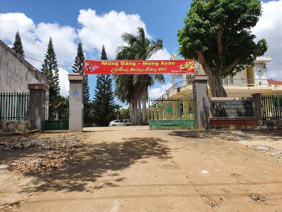 Cơ quan công an đã khởi tố, bắt tạm giam ông Nguyễn Văn Tiến - Giám đốc Công ty TNHH MTV lâm nghiệp Ea Kar. Ảnh: Bảo Trung