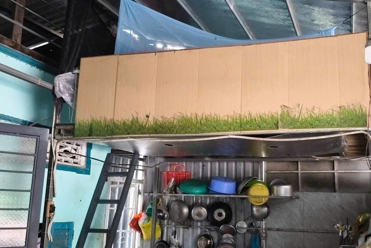 Mỗi tối, bà Hoa bồng cháu lên gác ngủ, cầu thang hẹp khiến việc đi lại rất vất vả. Ảnh: Phương Anh