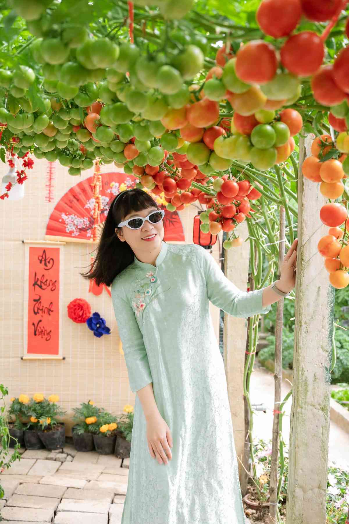 Du khách thả dáng chụp ảnh bên giàn cà chua chín mọng. Ảnh: Nhật Hà