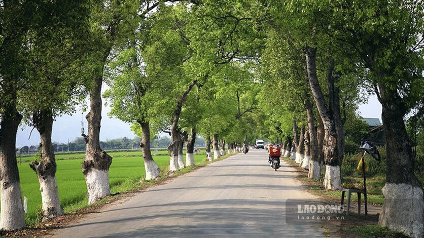 Quốc lộ 279 đoạn từ thành phố Điện Biên Phủ cũ đi Cửa khẩu quốc tế Tây Trang. Ảnh: Văn Thành Chương