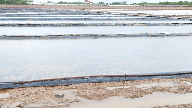 Sau những đợt mưa trái mùa, cánh đồng muối tại xã Long Điền tan thành nước. Ảnh: Nhật Hồ.