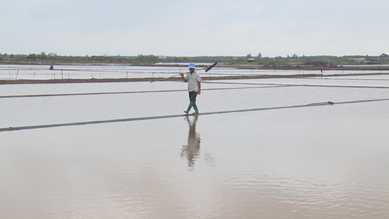 Mưa trái mùa khiến muối đầu vụ tại Cà Mau tan thành nước. Ảnh: Nhật Hồ.