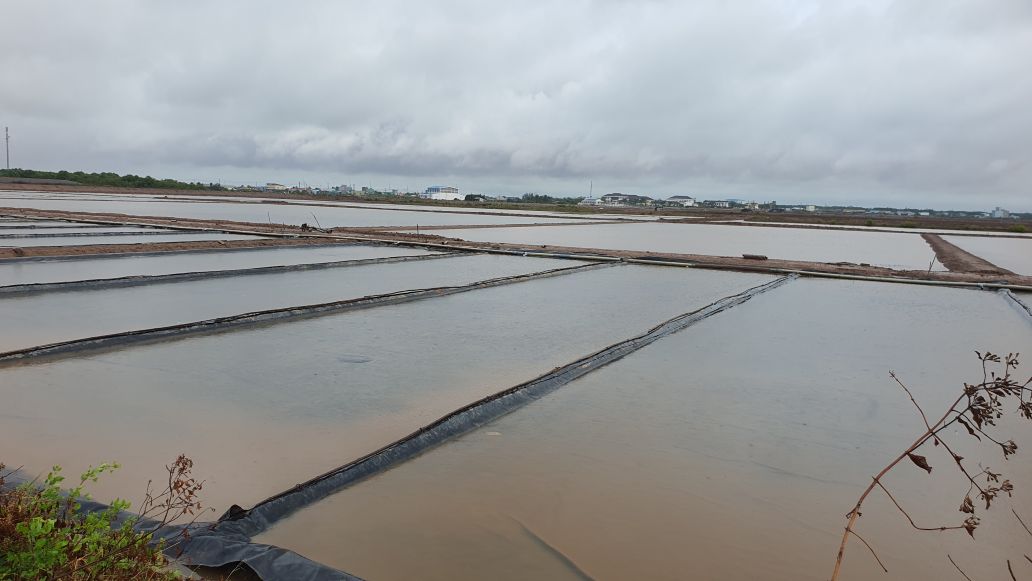 Cánh đồng muối ngập trong nước sau những đợt mưa trái mùa. Ảnh: Nhật Hồ.