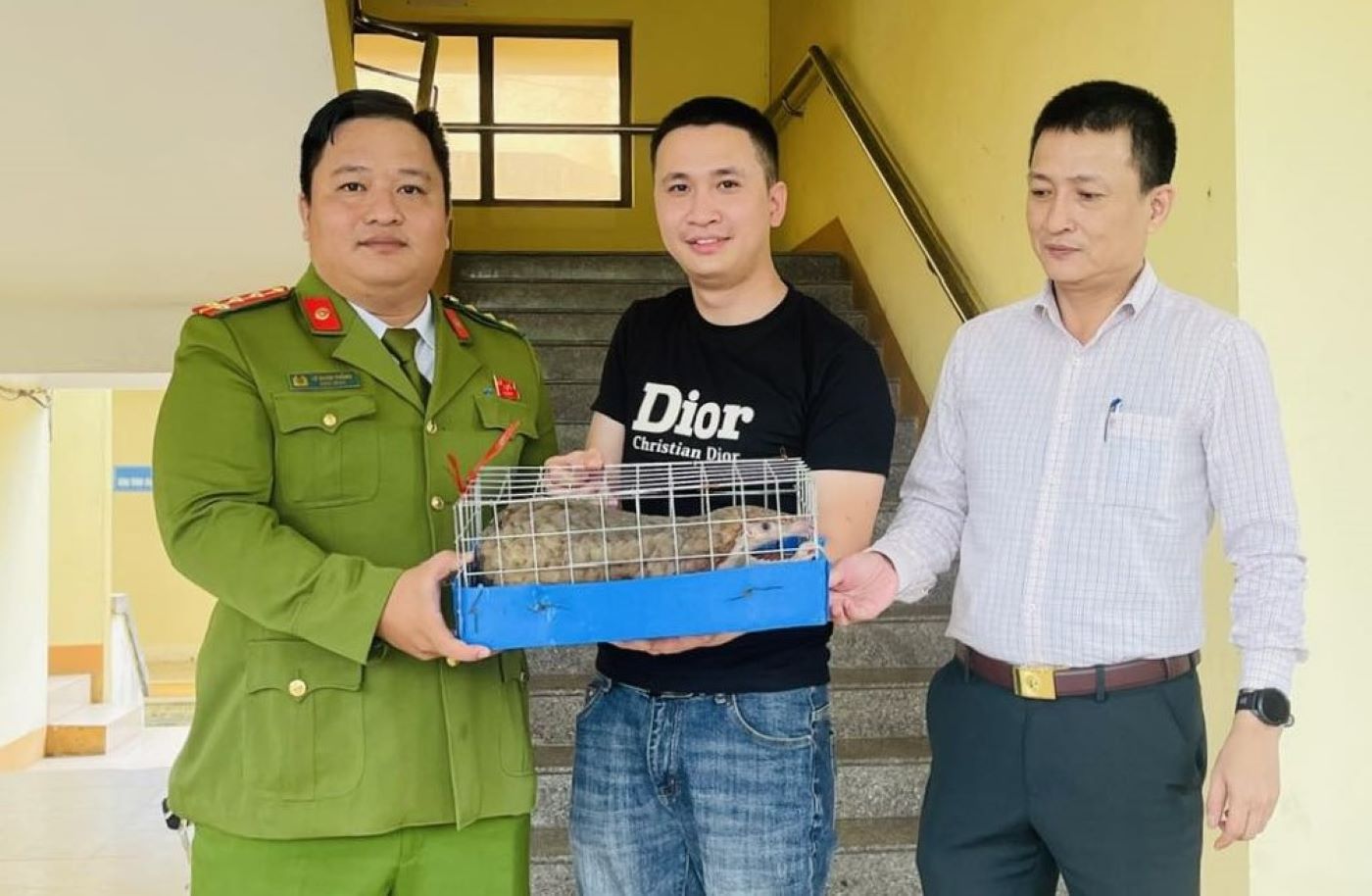 The pangolin individual was handed over by people. The pangolin was then handed over to functional agencies for care and released back into the natural environment. Photo: Dong Ha Ward Police