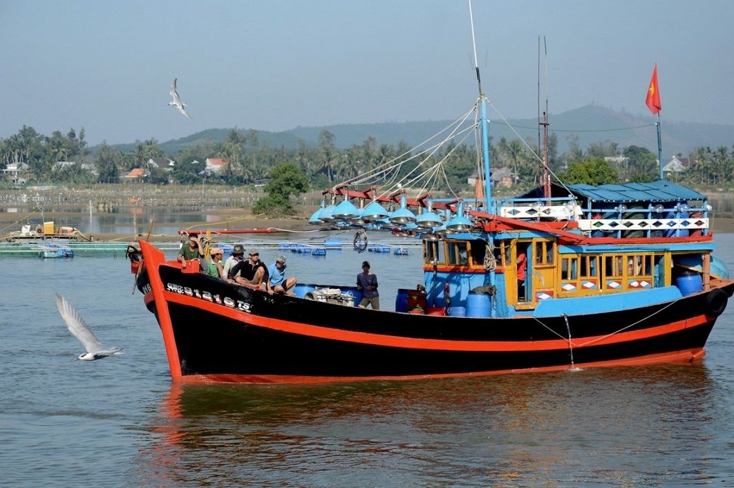 Đánh bắt cá cơm là nghề truyền thống của ngư dân xã Tịnh Khê, tỉnh Quảng Ngãi. Ảnh: Viên Nguyễn