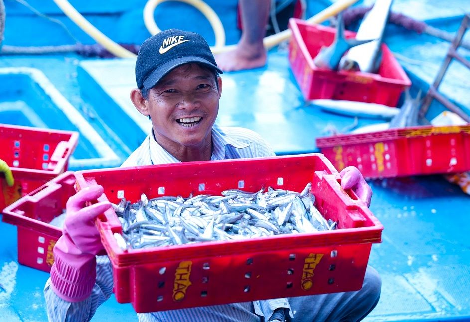 Niềm vui của ngư dân trúng mùa cá cơm. Ảnh: Viên Nguyễn