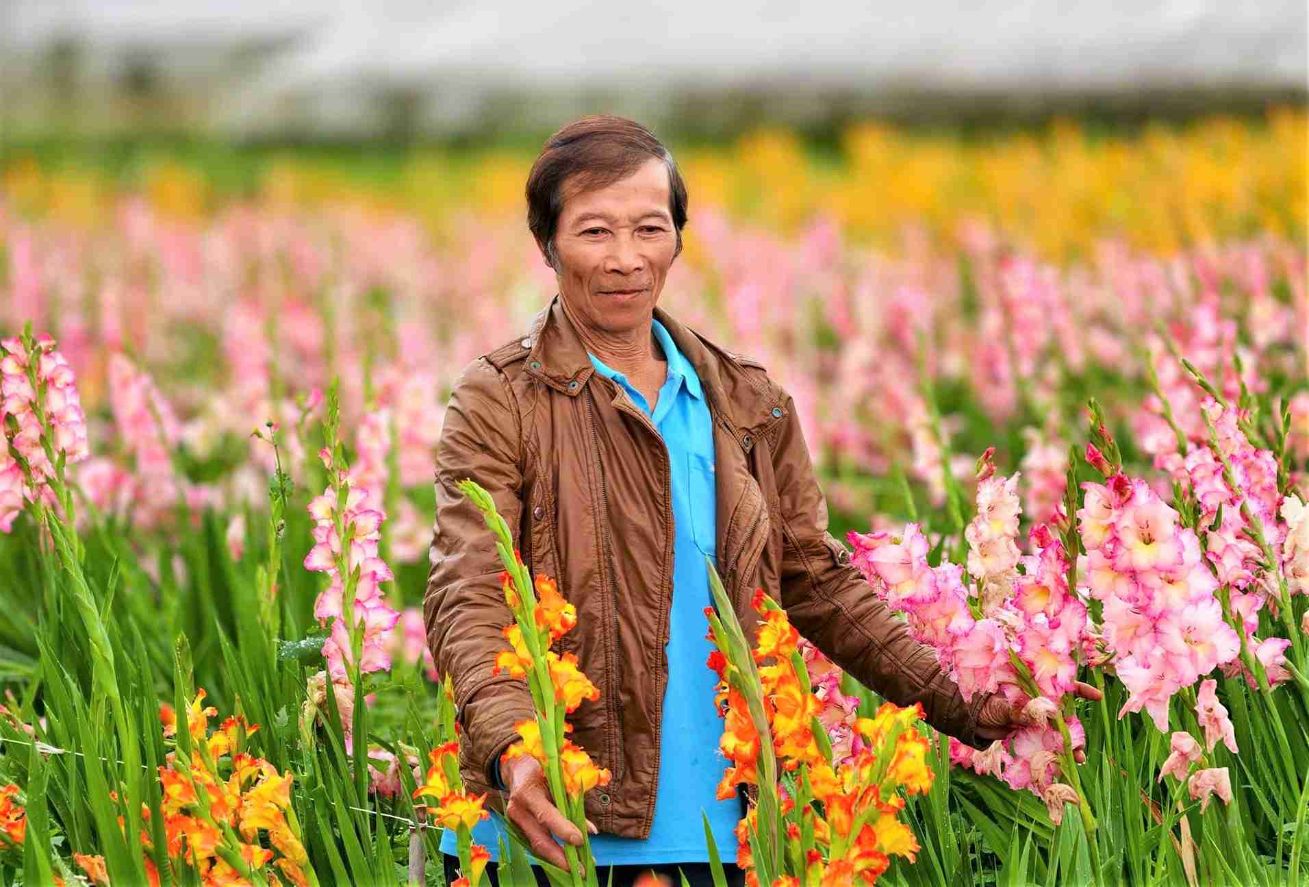 Theo ông Phước, vườn hoa lay ơn này được gia đình ông đầu tư hơn 150 triệu đồng để bán Tết, nhưng do hoa nở muộn nên không thể thu hoạch. Ảnh: Phúc Khánh 