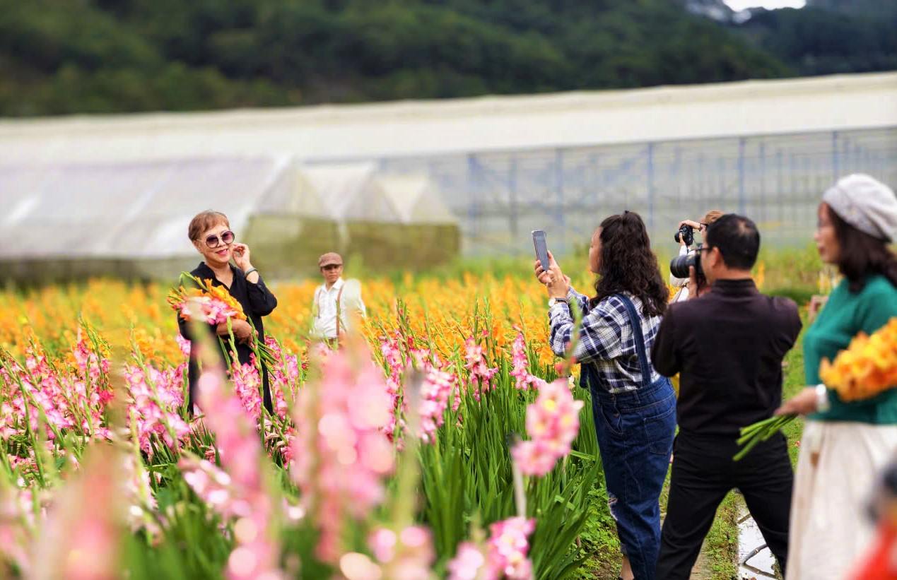 Những ngày qua, có rất nhiều du khách trên đường đến Đà Lạt đã ghé vào vườn hoa lay ơn nở muộn sau Tết của gia đình ông Phước để tham quan, chụp hình. Ảnh: Phúc Khánh 