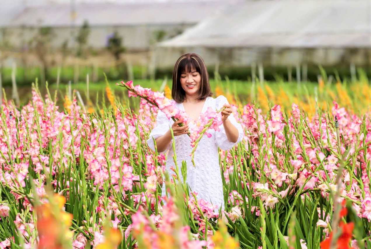 Khách du lịch vui tươi chụp hình, tham quan vườn hoa lay ơn đang nở rộ. Ảnh: Phúc Khánh 