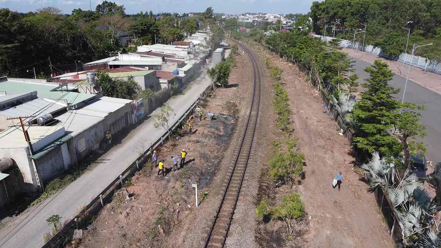 Sau khi trồng, công tác chăm sóc, đảm bảo tỷ lệ cây sống cao, sinh trưởng tốt là rất quan trọng. Ảnh: HAC