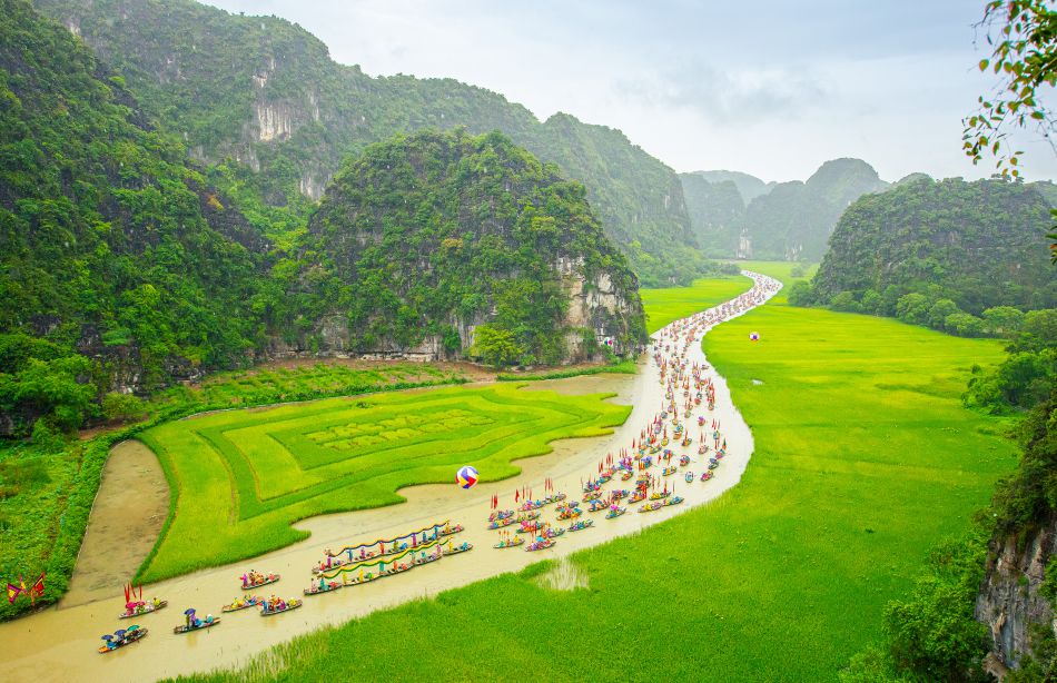 Mùa lúa trổ bông bên sông Ngô Đồng, Ninh Bình.