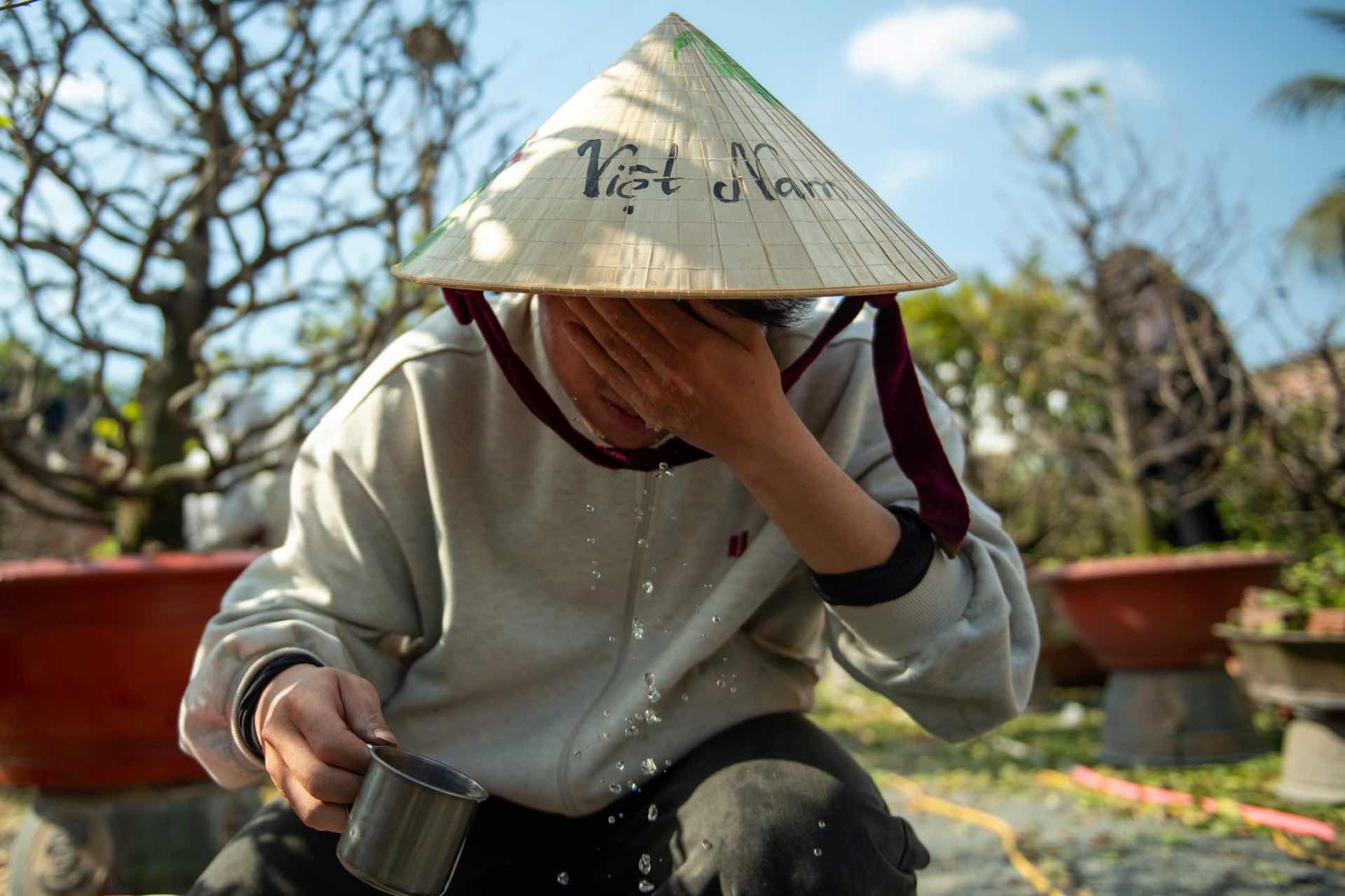 Công việc lặt lá mai thường kéo dài nhiều giờ liên tục ngoài trời nắng. Ảnh: Thái Bảo