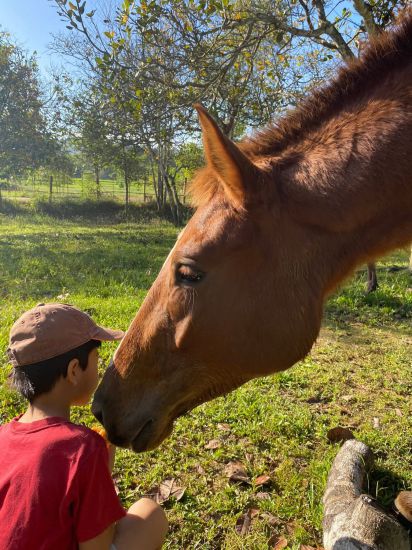 Cậu bé Tết cùng người bạn ngựa thân yêu. Ảnh: KHƯƠNG QUỲNH