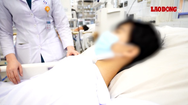 Children with dengue fever successfully rescued. Photo: BVCC