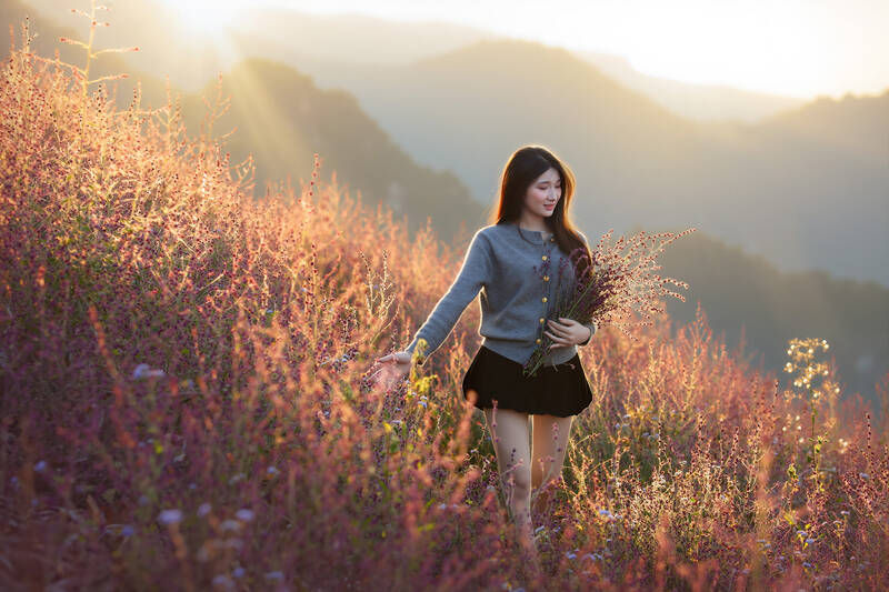 Các bạn trẻ mê check in không thể bỏ qua đồi hoa xô thơm. Ảnh: Mạnh Tùng