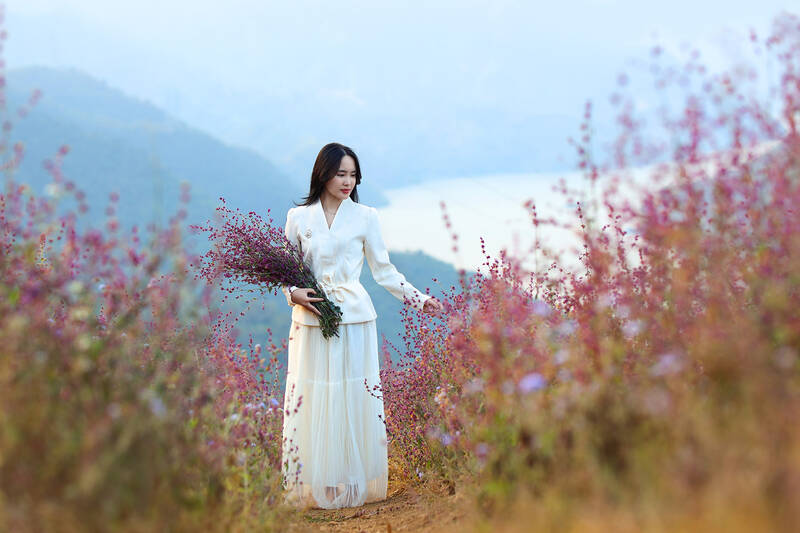 Đồi hoa xô thơm bản Pá Tong 2 ngày càng được biết đến rộng rãi. Ảnh: Mạnh Tùng