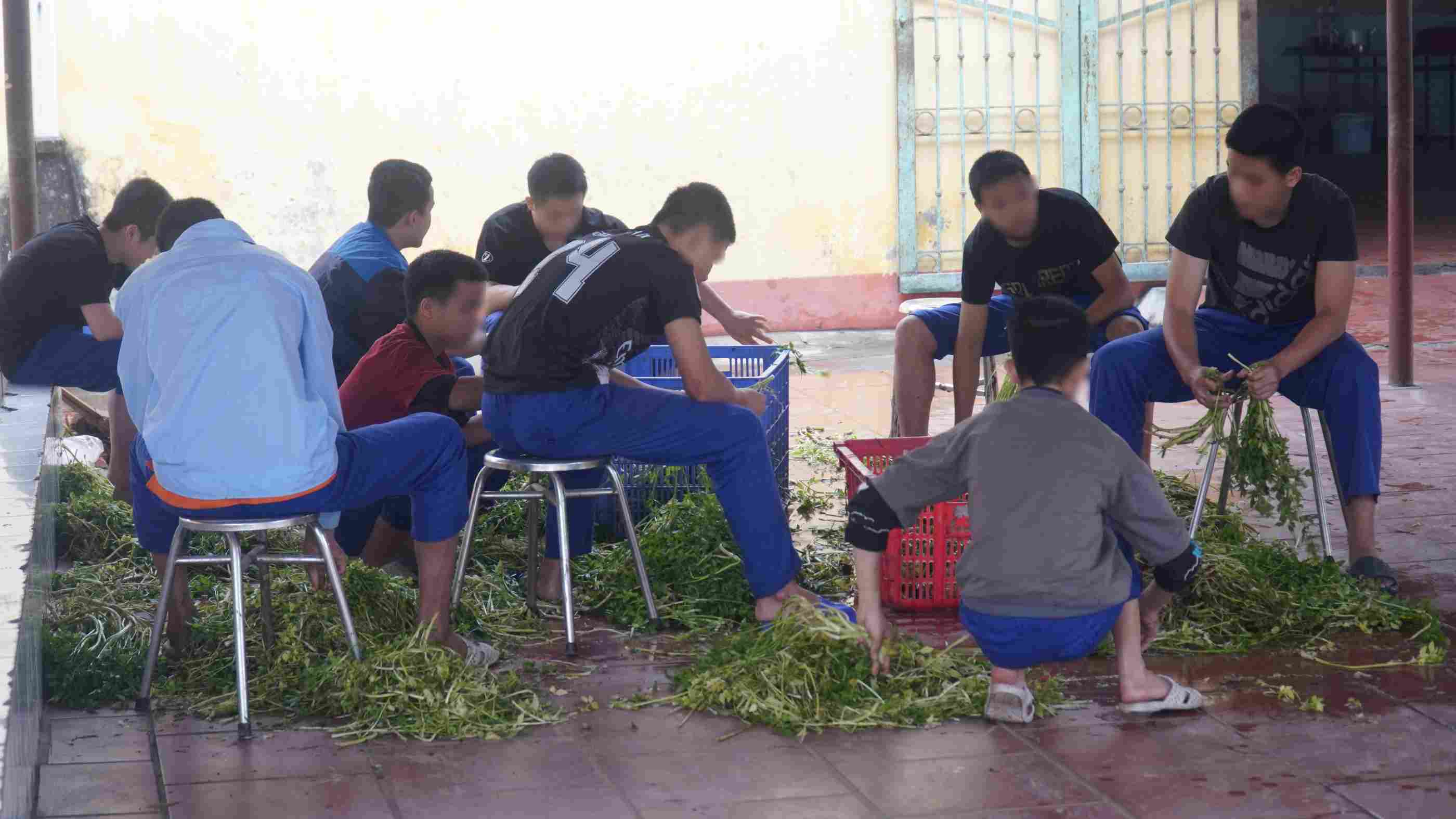 Ở đây, các em nam được huấn luyện kỹ năng sinh hoạt cơ bản, tự tay nhặt rau, chuẩn bị nguyên liệu và tham gia nấu các bữa ăn trong ngày. Ảnh: Minh Vũ